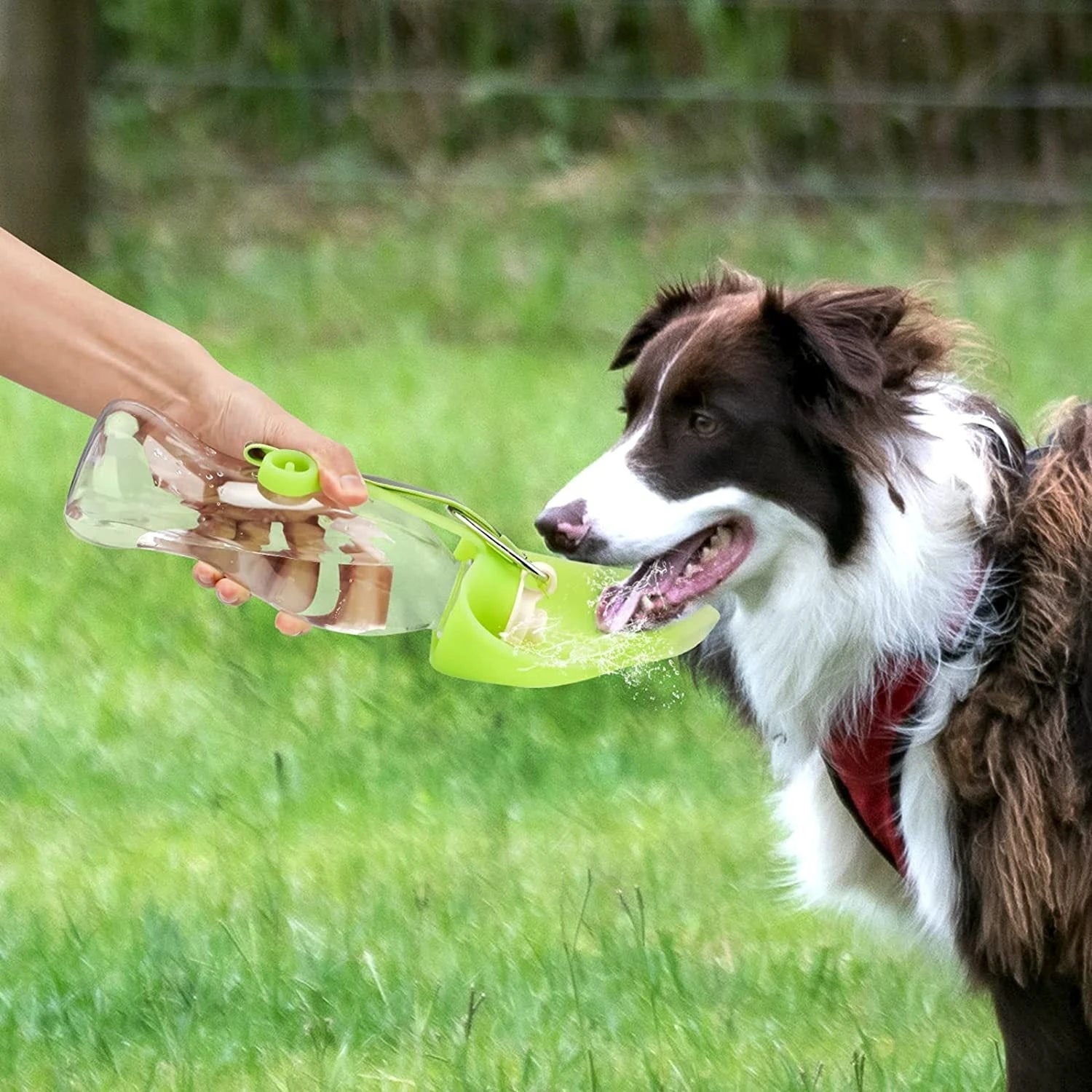 PORTABLE WATER BOTTLE FOR PET