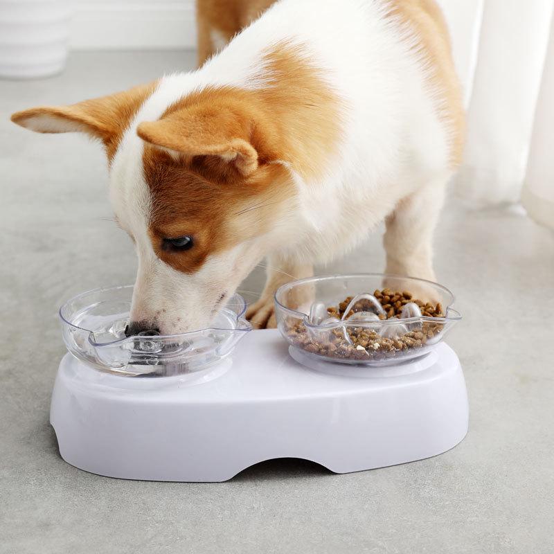 PET BOWL
